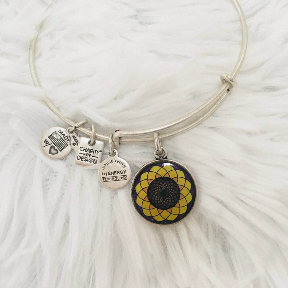 Alex and Ani Charity by Designs Charm Bracelet